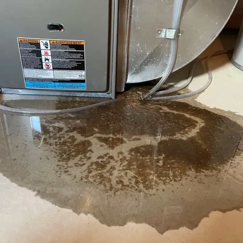 Appliance Leak Cleanup in Keyser, WV